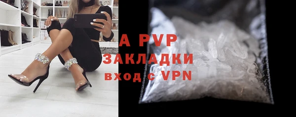 PSILOCYBIN Зеленодольск