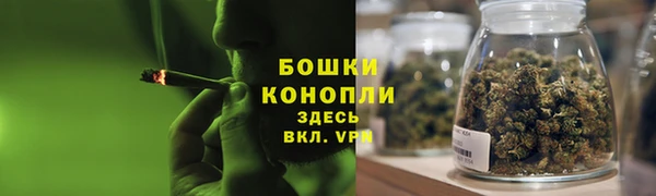 PSILOCYBIN Зеленодольск