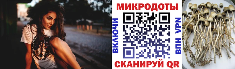 Купить  Кемерово  Галлюциногенные грибы мухоморы 