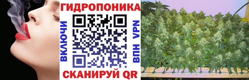 Купить закладки  Кемерово  Бошки Шишки LSD WEED 